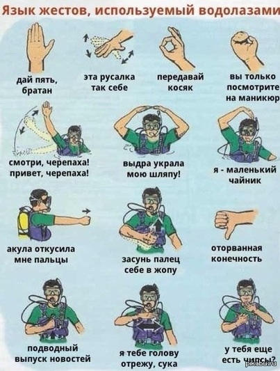 http://s.pikabu.ru/post_img/2013/02/27/6/1361949458_2053194365.jpg