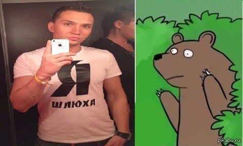 http://s.pikabu.ru/post_img/2013/02/27/8/1361968161_577008376.jpg