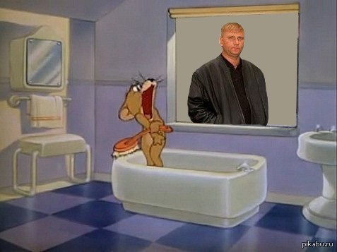 свидетель из Фрязино.