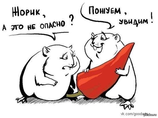 Анекдот с перчинкой Анекдот с перчинкой