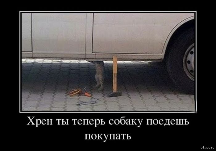 http://s.pikabu.ru/post_img/2013/03/08/9/1362753301_920616346.jpg