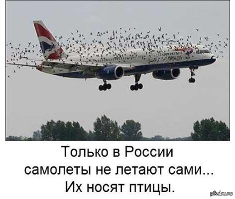 http://s.pikabu.ru/post_img/2013/03/10/7/1362907774_1865773420.jpg