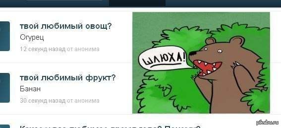 в чем прикол медведь шлюха в чем прикол медведь шлюха