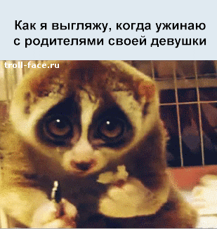 http://s.pikabu.ru/post_img/2013/03/15/4/1363319569_496974905.gif