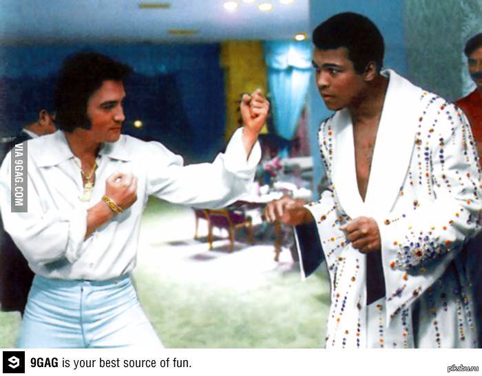 elvis a cultural obsession essay elvis a cultural obsession essay