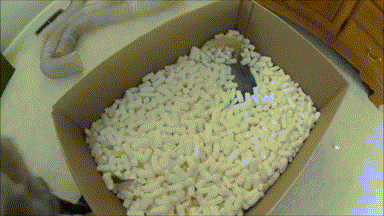 http://s.pikabu.ru/post_img/2013/03/26/5/1364277462_271673816.gif