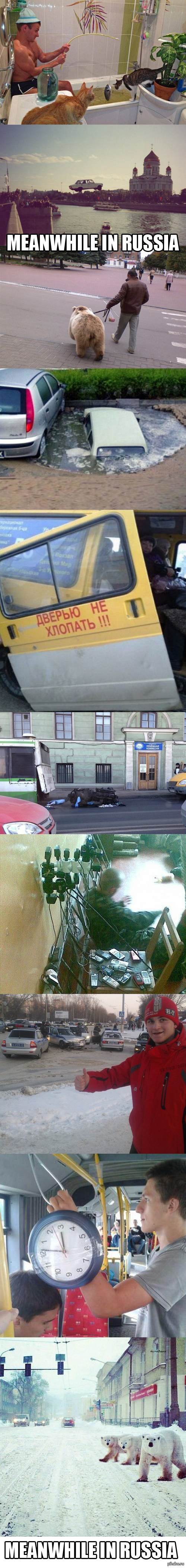 http://s.pikabu.ru/post_img/2013/03/26/8/1364297801_689102698.jpg