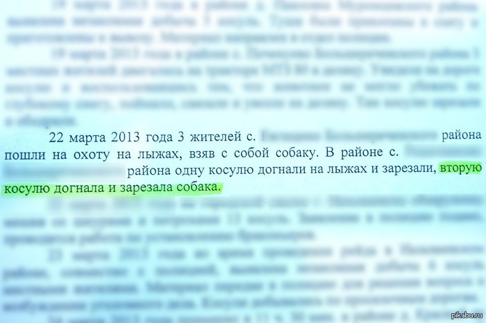 http://s.pikabu.ru/post_img/2013/03/27/9/1364394929_21429698.jpg