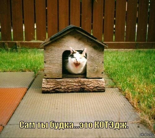 [Зображення: 1364552309_1799820164.jpg]