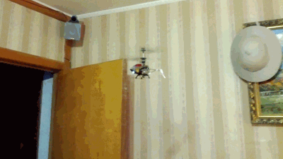 http://s.pikabu.ru/post_img/2013/04/04/10/1365089638_1580062076.gif
