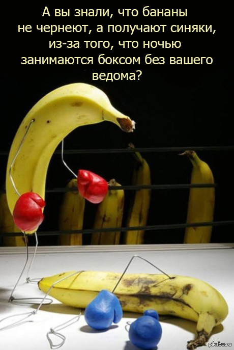 http://s.pikabu.ru/post_img/2013/04/05/5/1365144515_1634538691.jpg
