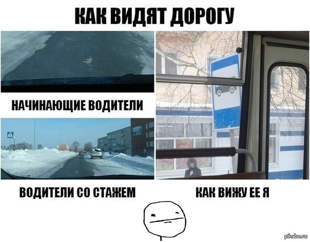 Статусы для начинающих водителей Статусы для начинающих водителей