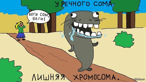 http://s.pikabu.ru/post_img/2013/04/15/10/1366040798_912343709.jpg