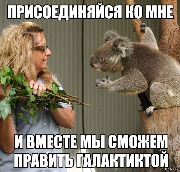 http://s.pikabu.ru/post_img/2013/04/15/5/1366007555_789713768.jpg
