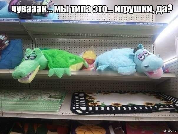 http://s.pikabu.ru/post_img/2013/04/15/8/1366028053_194404750.jpg