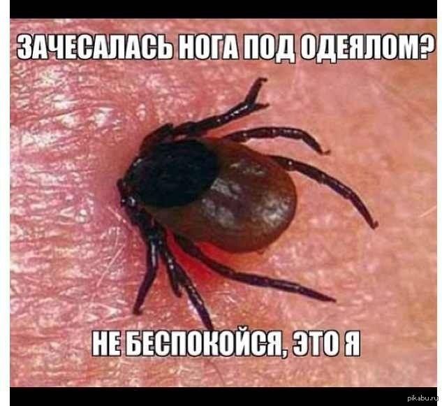 Подарки на свадьбу и годовщину лучшие идеи Парафинотерапия - Как провести эту процедуру