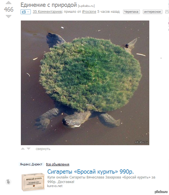 http://s.pikabu.ru/post_img/2013/05/11/8/1368276361_565014975.png