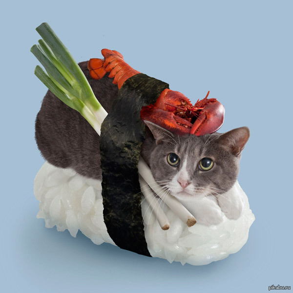 Игра sushi cat