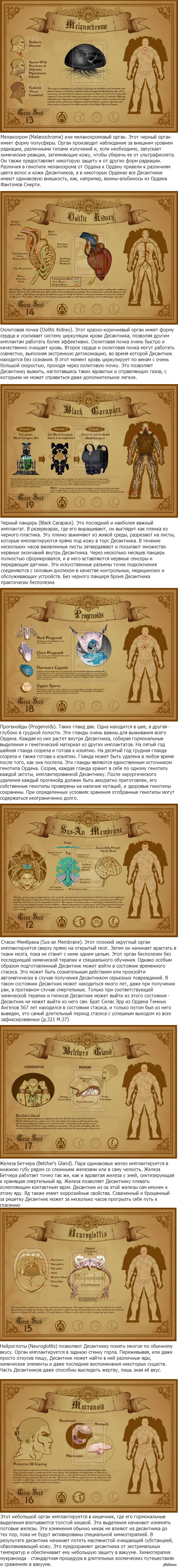 http://s.pikabu.ru/post_img/2013/05/23/9/1369314817_1904017400.png