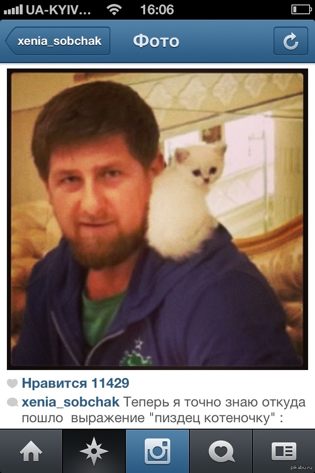 В мире животных В мире животных