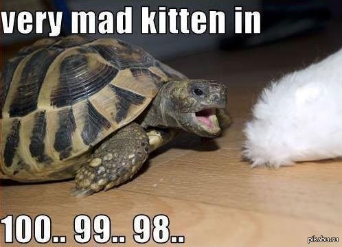 http://s.pikabu.ru/post_img/2013/05/30/11/1369934534_772626375.jpg