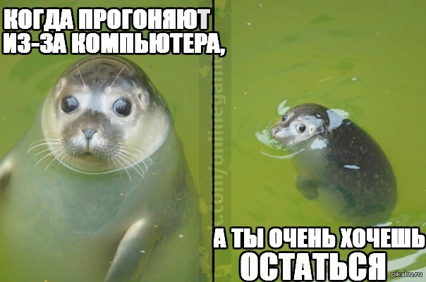 Что сейчас модно фотографируют Что сейчас модно фотографируют