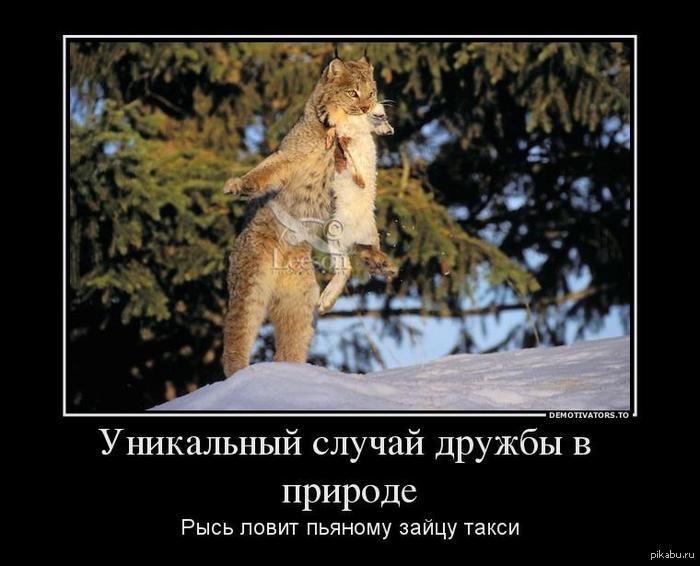 http://s.pikabu.ru/post_img/2013/06/08/8/1370696125_1743608265.jpg