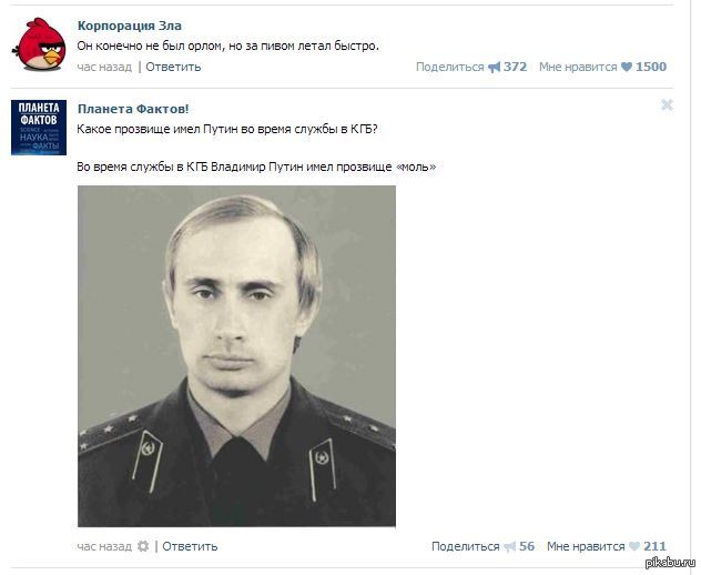 Почему у путина было прозвище моль Почему у путина было прозвище моль