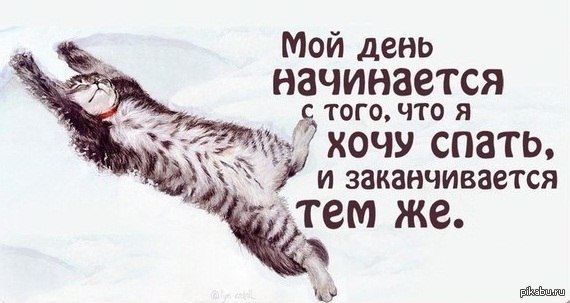 Почему постоянно хочется спать днем Почему постоянно хочется спать днем