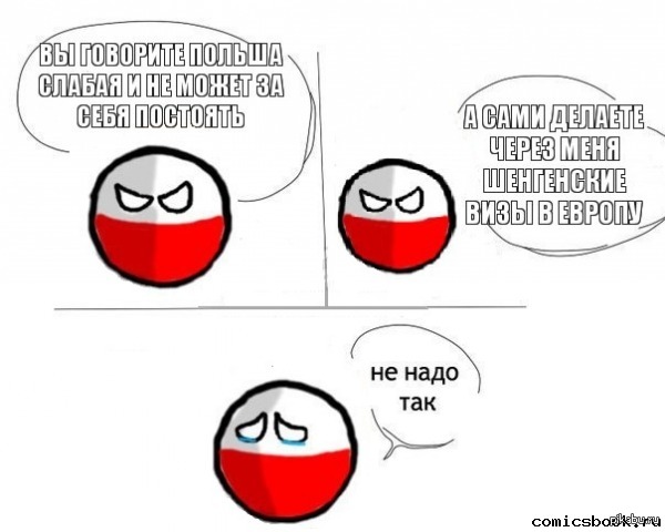 Польша - объект неоколонизации 