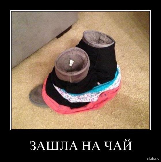 http://s.pikabu.ru/post_img/2013/07/08/7/1373275591_1861081718.jpeg