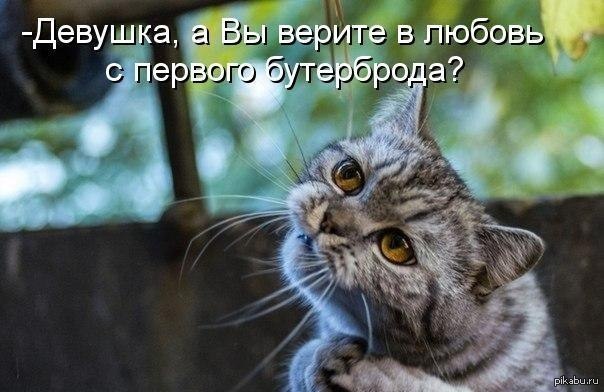 http://s.pikabu.ru/post_img/2013/07/15/6/1373878617_517889531.jpg