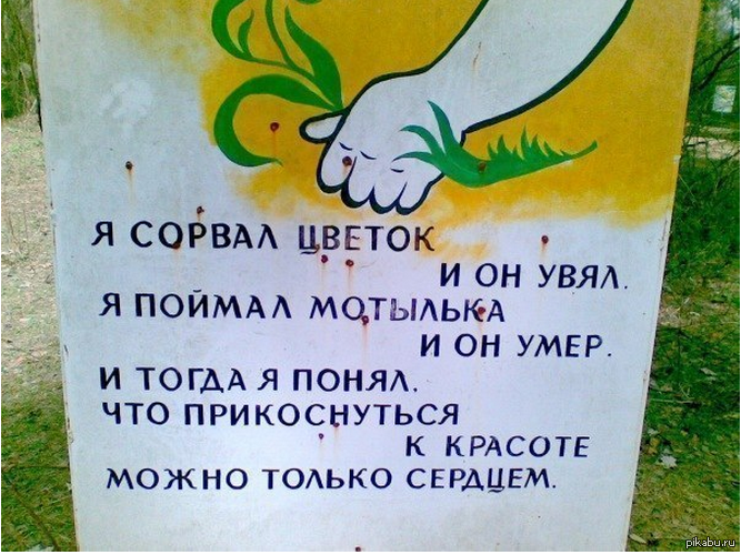 Картинки природа берегите Картинки природа берегите