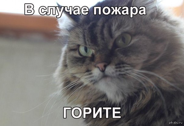 http://s.pikabu.ru/post_img/2013/07/22/7/1374488475_2046720334.jpg