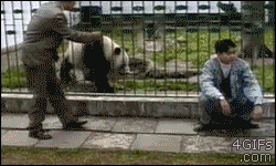 1374500023_1292795687.gif
