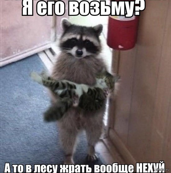 http://s.pikabu.ru/post_img/2013/07/23/5/1374558156_32998761.jpg