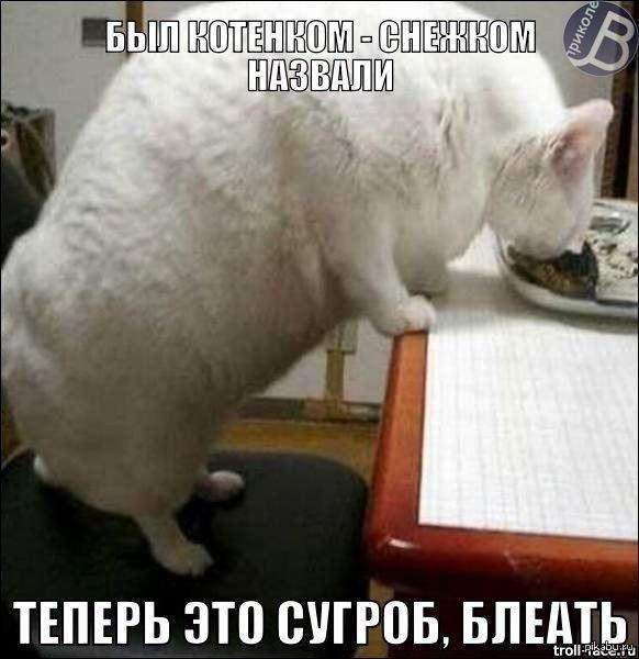 http://s.pikabu.ru/post_img/2013/08/11/7/1376215428_1403957005.jpg