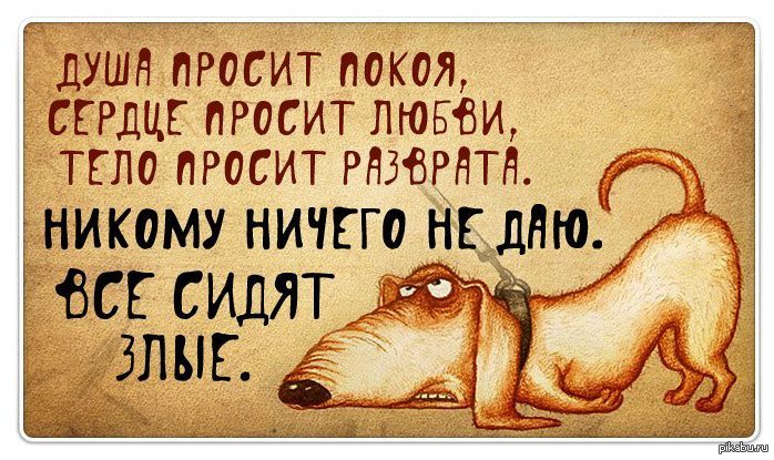 Статусы не хочу надоедать Статусы не хочу надоедать