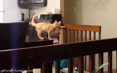 [Зображення: 1376740023_1278553678.gif]