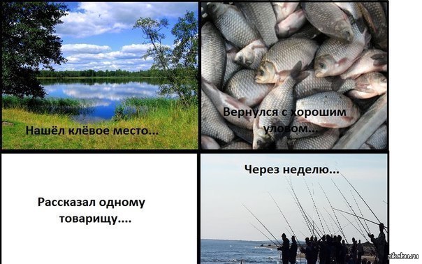 рыбы удочки стихи рыбы удочки стихи