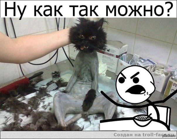 Как так можно сделать