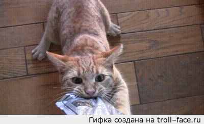 http://s.pikabu.ru/post_img/2013/09/01/7/1378030647_1862756710.gif
