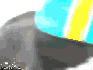 http://s.pikabu.ru/post_img/2013/09/07/6/1378537825_696574238.gif