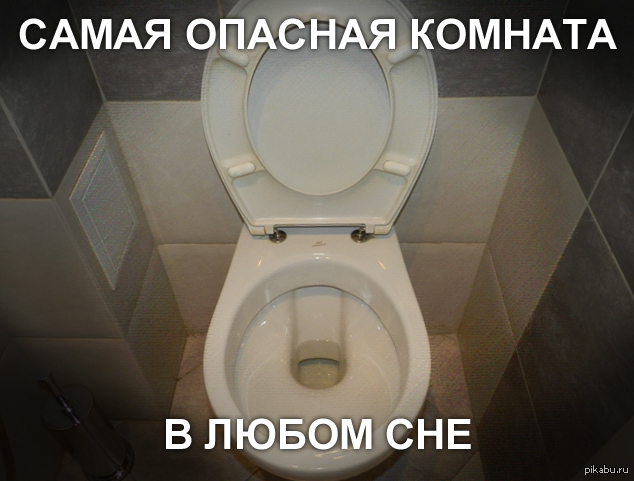 Приснилось что ходишь в туалет по большому Приснилось что ходишь в туалет по большому