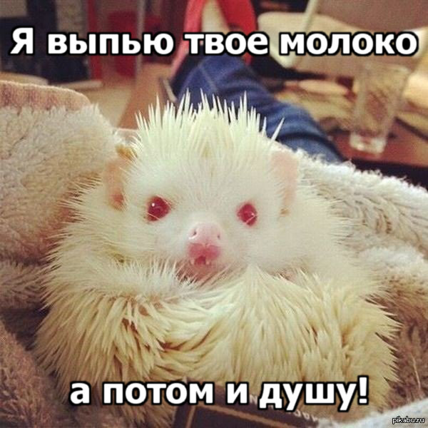 http://s.pikabu.ru/post_img/2013/09/20/7/1379672686_1838390845.jpg