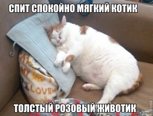 http://s.pikabu.ru/post_img/2013/09/25/11/1380130637_1429409695.jpg