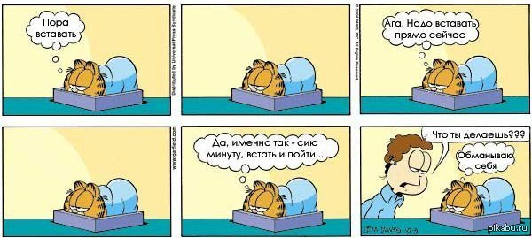 Что делать если не встает в домашних условиях Что делать если не встает в домашних