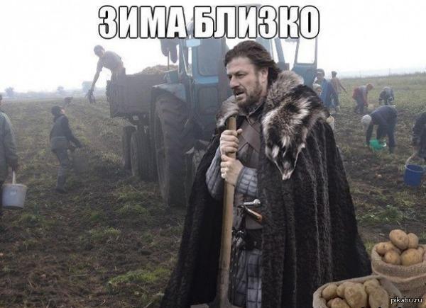 Зимняя резина в костроме цены автолига