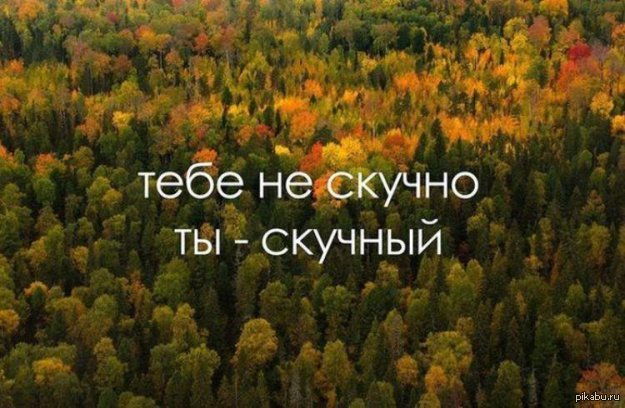 Статусы ты такой скучный Статусы ты такой скучный