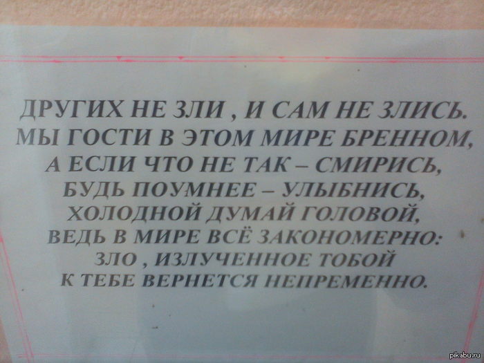 Омские Рентгенологи ценят Омар Хайяма Омар Хайям, врачи.